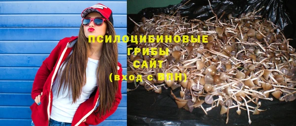 а пвп мука Дмитриев